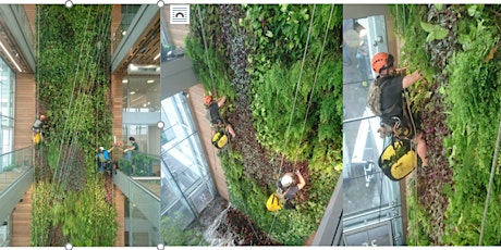 Living Wall Training Day at Scotscape HQ primary image