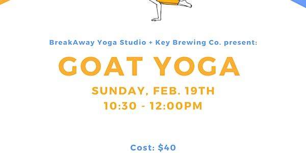 Goat Yoga at Key Brewing Co.