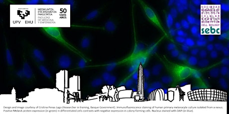 Imagen principal de IX Jornadas de Docencia en Biología Celular- SEBC 2018