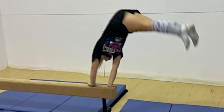 City of Leavenworth Youth Gymnastics - February primary image