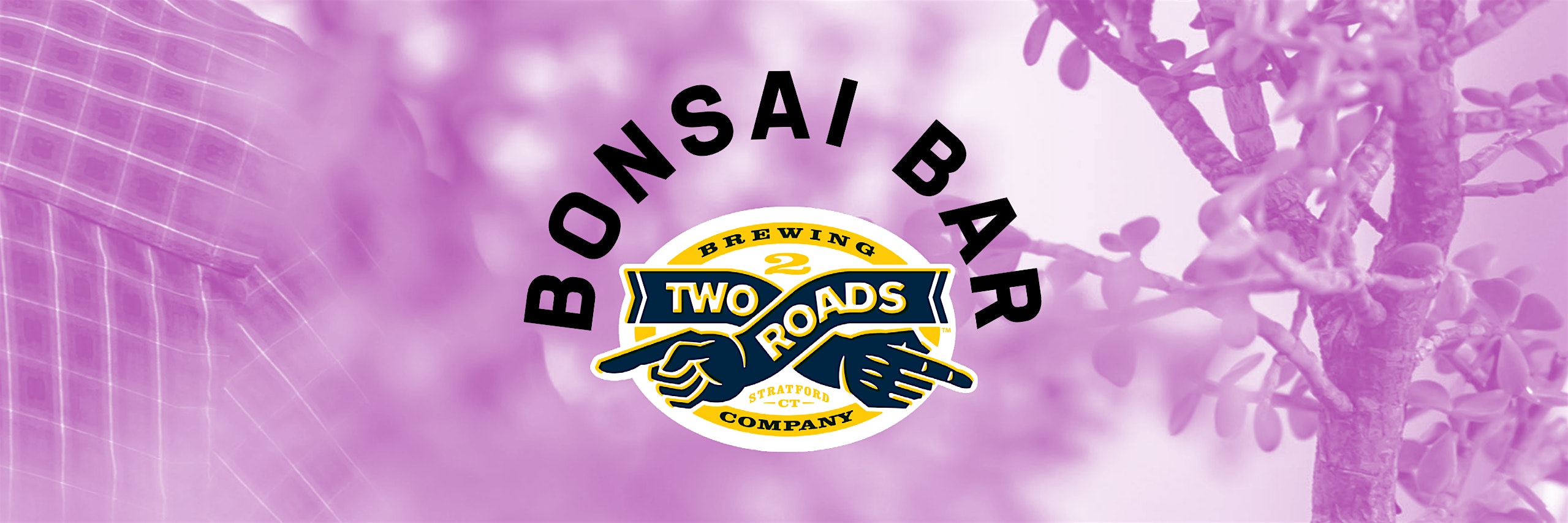Bonsai Bar @ Two Roads Brewing Company