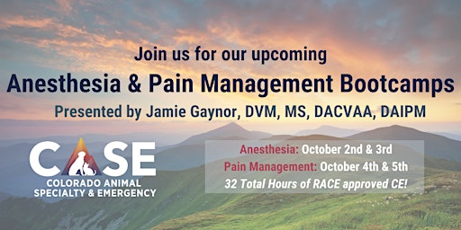 Anesthesia & Pain Management Bootcamps (October 2023)