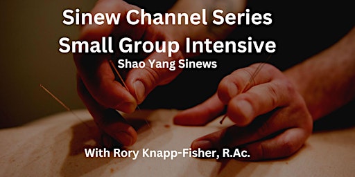 IMA Small Group Training - Sinew Channels Series - Shao Yang Sinew