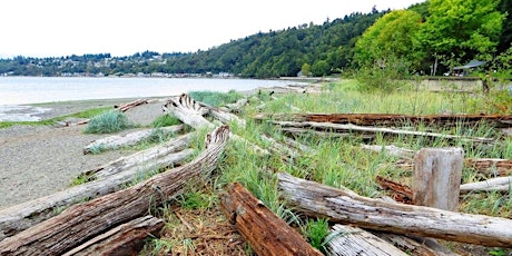 Where the Water Begins - Burien