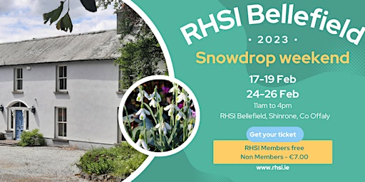 RHSI Bellefield Snowdrop Weekend two