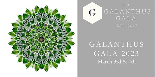 Galanthus Gala 2023--March 3 & 4