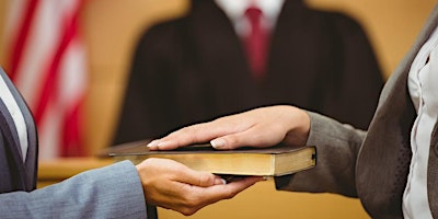 Expert Witnesses in Federal Court: The Do’s and Don’ts (MCLE)