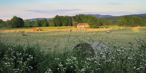 Supporting Local Agribusiness - A Workshop for Farmers, Growers and Food/Beverage Producers
