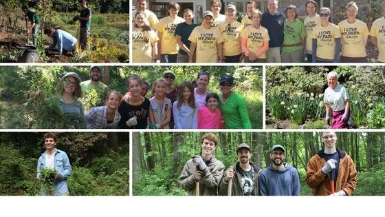 Volunteer Day at Rockefeller Preserve!