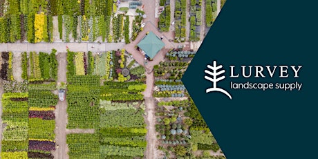 Plant Market & Hydrangeas Demystified – Des Plaines