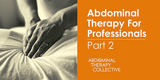Immagine principale di Abdominal Therapy For Professionals: Part Two - Ireland 
