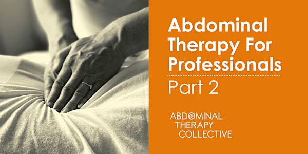 Abdominal Therapy For Professionals: Part Two - Ireland