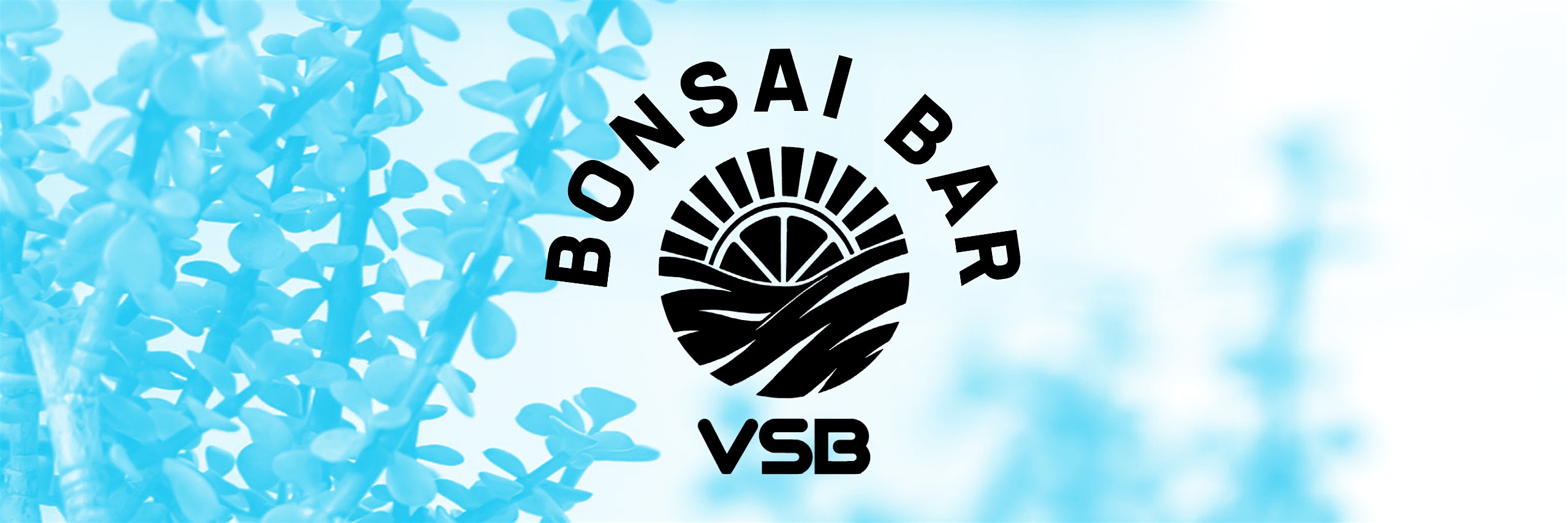Bonsai Bar @ Vitamin Sea Brewing