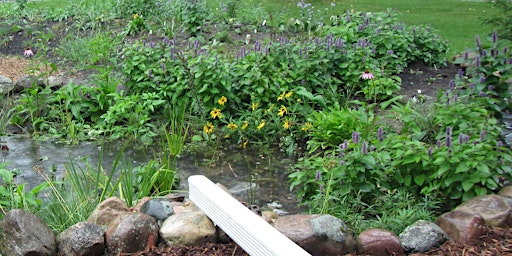 Dig into Rain Gardens- 1:1 Coaching Sessions with the Experts