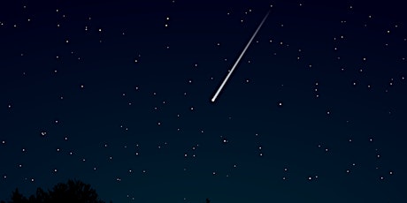 Meteors on the Meadow: Orionids