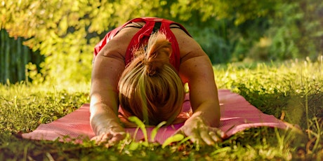 Half Day Mindfulness & Yoga Retreat Bragg Creek primary image