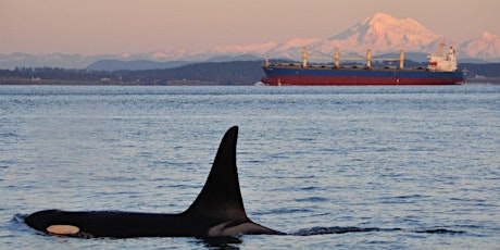 Free presentation: Creating a quieter Salish Sea for whales