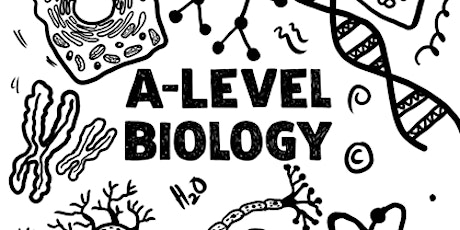 Small Group AQA A Level Biology Tuition