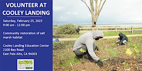 Volunteer Outdoors in East Palo Alto at Cooley Landing
