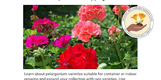 Scented Pelargoniums of the World
