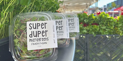 Grow your own Microgreens with Super Duper Microgreens