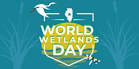A World Wetlands Day Chat: Favorite Fluddles
