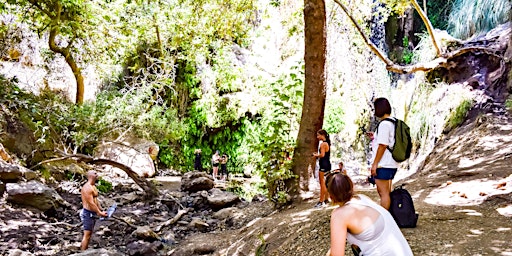 Outdoorism - Escondido Falls Hike