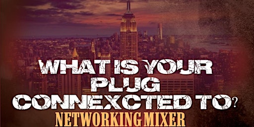 WHAT IS YOUR PLUG CONNECXTED TO?