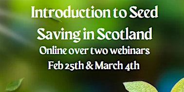 Introduction to Seed Saving in Scotland