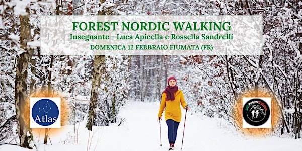 Forest Therapy: Forest Nordic Walking