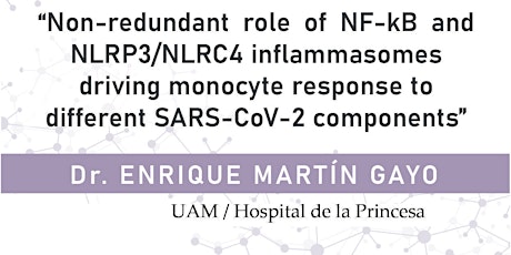 Role of NF-kB and NLRP3/NLRC4 inflammasomes driving monocyte response