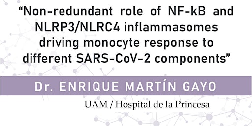 Role of NF-kB and NLRP3/NLRC4 inflammasomes driving monocyte response