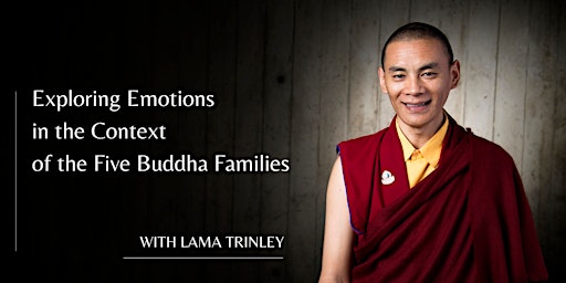 Hauptbild für Exploring Emotions  in the Context of the Five Buddha Families