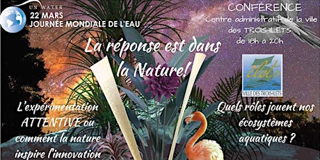 Image principale de Journée mondiale de l'Eau : la réponse est dans la nature