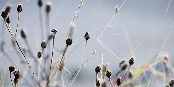 Creative Garden Photography