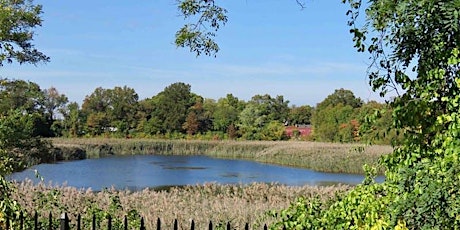 Volunteer Landscaping and Cleanup at the Ridgewood Reservoir