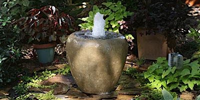 Backyard Water Features - Tues., Feb, 21 - 11:00 am    ZOOM ONLINE