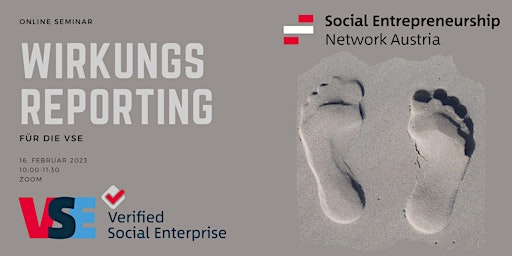 Wirkungsreporting für die Verified Social Enterprise (VSE)
