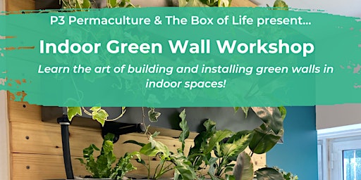 Introduction to Indoor Green Walls