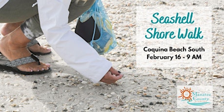 Seashell Shore Walk - February 2023