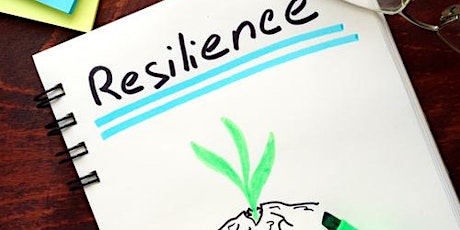 Resilience Advantage: Skills for Personal and Professional Effectiveness
