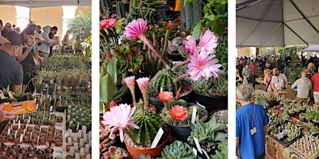 San Diego Cactus & Succulent Society WINTER SHOW & SALE