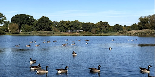 Baisley Pond Park Cleanup primary image