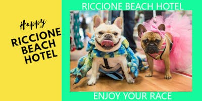 CONGRESSO SCIVAC VETERINARI 2018 - OFFERTA HOTEL A RICCIONE LOW COST CONGRESSO SCIVAC VETERINARI 2018 - OFFERTA HOTEL A RICCIONE LOW COST