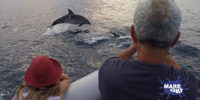 Finding Dolphins - Alla ricerca dei delfini Finding Dolphins - Alla ricerca dei delfini
