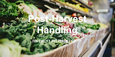 Post-Harvest Handling for Quality and Produce Safety