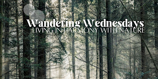 Wandering Wednesday's primary image