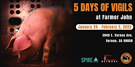 The Last Pig Vigils - Day 5 (FINAL DAY)