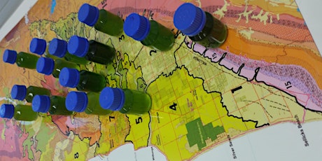 Regional & Varietal differences in Extra Virgin Olive Oil - QLD primary image