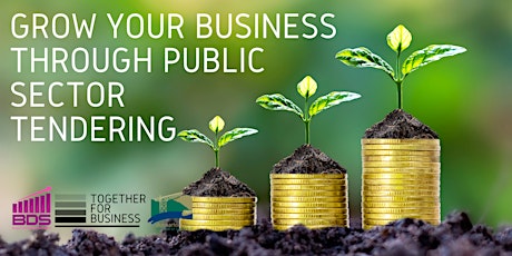 Grow Your Business Through Public Sector Tendering